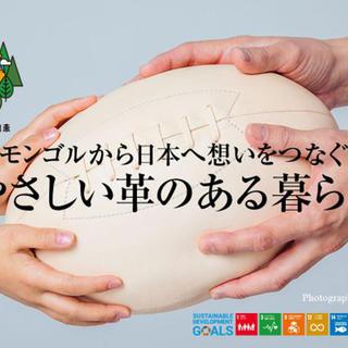 MONYクッション‼  予約販売実施中☆彡